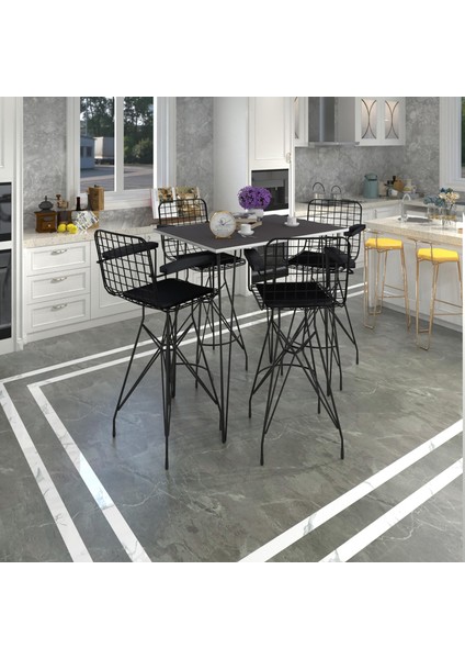 Knsz Masa Sandalye Takımı HEM105ZENGIN Grisyh 130*070 4 Sandalye Syhsyh Kolçaklı