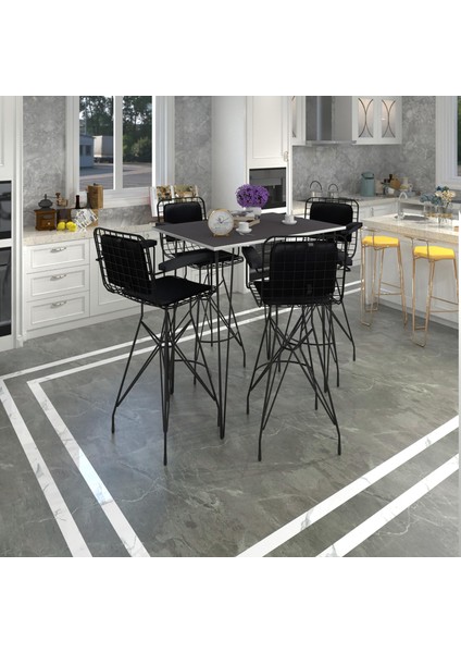 Knsz Masa Sandalye Takımı HEM105ZENGIN Grisyh 130*070 4 Sandalye Syhsyh Kolçaklı Sırt Minderli
