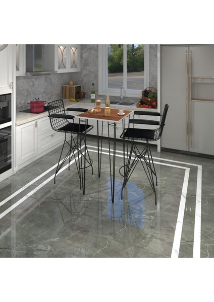 Knsz Masa Sandalye Takımı HEM105ZENGIN Cvzsyh 070*070 2 Sandalye Syhsyh Kolçaklı