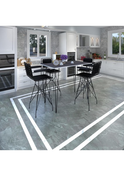 Knsz Masa Sandalye Takımı HEM105ZENGIN Grisyh 100*070 4 Sandalye Syhsyh Kolçaklı Sırt Minderli