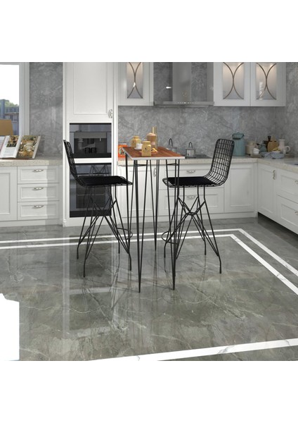 Knsz Masa Sandalye Takımı HEM105ZENGIN Cvzsyh 100*040 2 Sandalye Syhsyh fiyatları