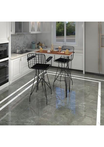 Knsz Masa Sandalye Takımı HEM105ZENGIN Cvzsyh 100*040 2 Sandalye Syhsyh Kolçaklı