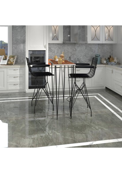 Knsz Masa Sandalye Takımı HEM105ZENGIN Cvzsyh 100*040 2 Sandalye Syhsyh Kolçaklı fiyatları