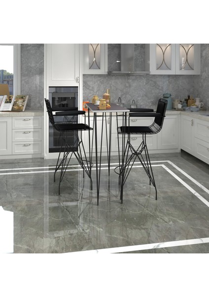 Knsz Masa Sandalye Takımı HEM105ZENGIN Grisyh 100*040 2 Sandalye Syhsyh Kolçaklı Sırt Minderli fiyatları