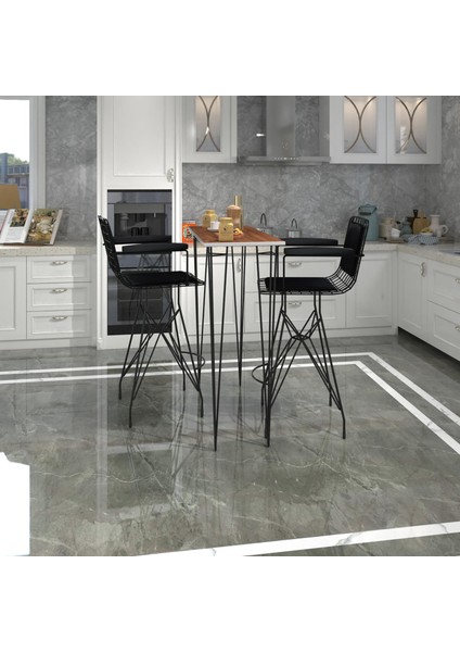 Knsz Masa Sandalye Takımı HEM105ZENGIN Cvzsyh 100*040 2 Sandalye Syhsyh Kolçaklı Sırt Minderli fiyatları