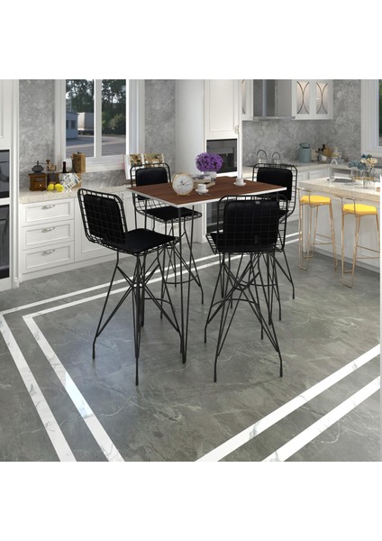 Knsz Masa Sandalye Takımı HEM105ZENGIN Cvzsyh 100*070 4 Sandalye Syhsyh Sırt Minderli
