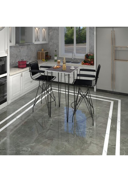Knsz Masa Sandalye Takımı HEM105ZENGIN Grisyh 060*060 2 Sandalye Syhsyh Kolçaklı Sırt Minderli