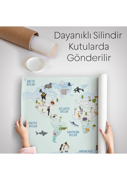 Eğitici Dünya Haritası Dünya Atlası Çocuk Ve Bebek Odası Duvar Örtüsü-Halısı 3796 indirimleri