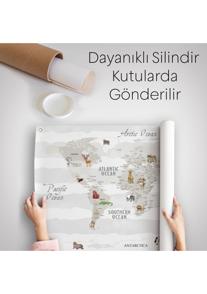 Eğitici Dünya Haritası Dünya Atlası Çocuk Ve Bebek Odası Duvar Örtüsü-Halısı 3812 indirimleri