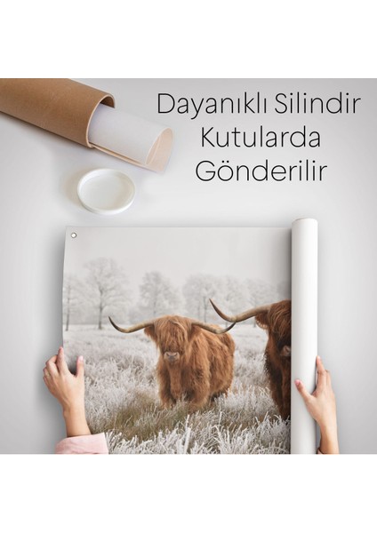 İskoçya Sığırları Dekoratif Kanvas Duvar Örtüsü-Halısı 1150 indirimleri