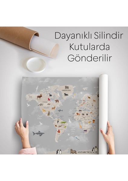Eğitici Dünya Haritası Dünya Atlası Çocuk Ve Bebek Odası Duvar Örtüsü-Halısı 3793 indirimleri