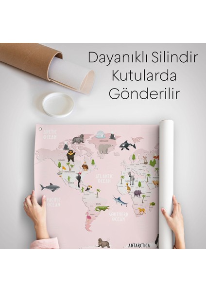 Eğitici Dünya Haritası Dünya Atlası Çocuk Ve Bebek Odası Duvar Örtüsü-Halısı 3795 indirimleri
