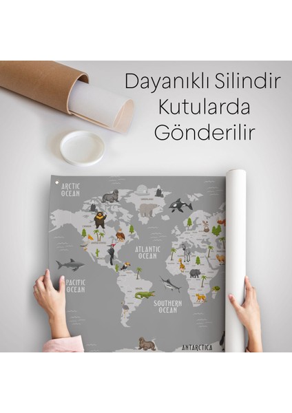 Eğitici Dünya Haritası Dünya Atlası Çocuk Ve Bebek Odası Duvar Örtüsü-Halısı 3794 indirimleri