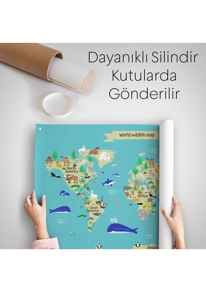 Dünya Atlası Çocuk Ve Bebek Odası Duvar Örtüsü-Halısı 3829 indirimleri