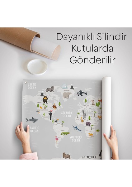Eğitici Dünya Haritası Dünya Atlası Çocuk Ve Bebek Odası Duvar Örtüsü-Halısı 3790 indirimleri