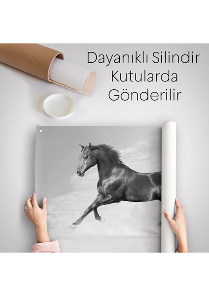 Siyah At Duvar Örtüsü-Halısı-6623 indirimleri