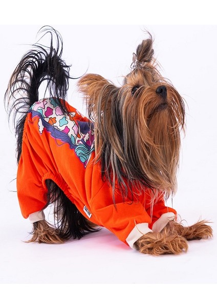 Orange Giraffe Kedi Köpek Pijama fırsatları