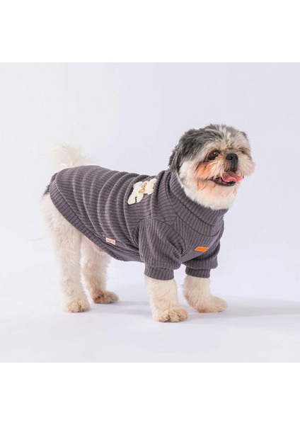 Antrasit Turtleneck Küçük Irk Köpek Likralı Triko