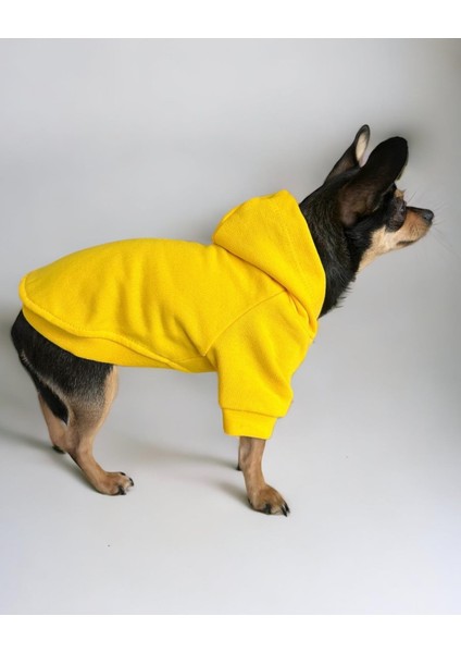 Yellowie Köpek Sweatshirt Hoodie Köpek Kazağı Köpek Kıyafeti