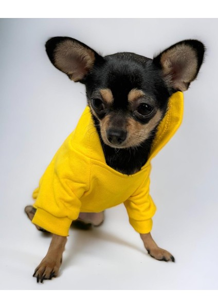 Yellowie Köpek Sweatshirt Hoodie Köpek Kazağı Köpek Kıyafeti