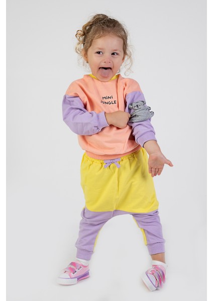 Kız Bebek&çocuk Iki Iplik Kumaş Orta Kalınlıkta Nakışlı Örme Basic Eşofman Takımı fiyatları