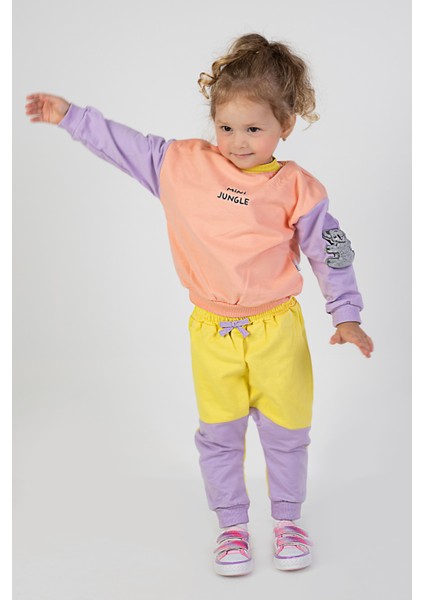 Kız Bebek&çocuk Iki Iplik Kumaş Orta Kalınlıkta Nakışlı Örme Basic Eşofman Takımı modelleri