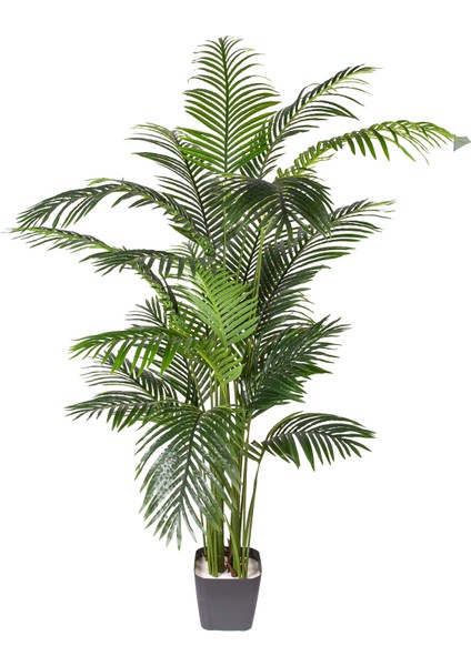 Yapay Ağaç Areka Palmiye Gerçek Dokulu 20 Yaprak Yeşil 190 Cm.