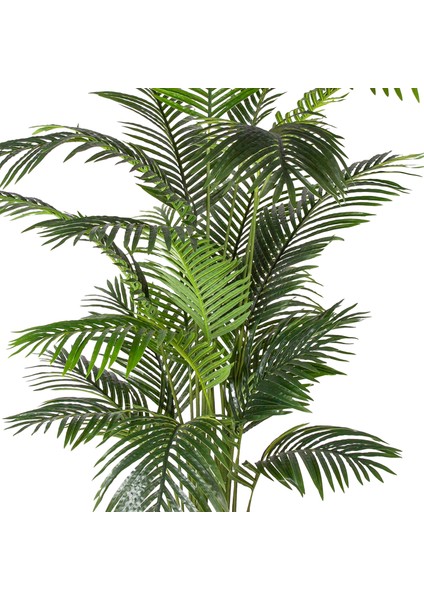 Yapay Ağaç Areka Palmiye Gerçek Dokulu 20 Yaprak Yeşil 190 Cm. modelleri