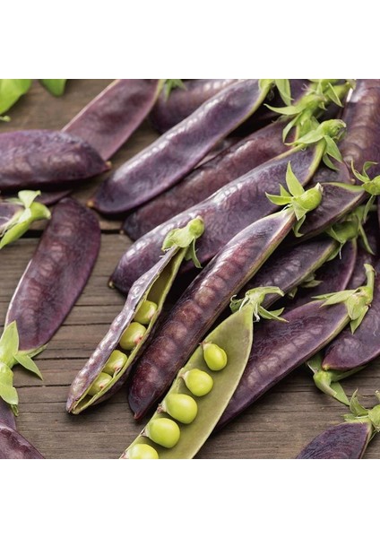 Şiraz Siyah Bezelye Tohumu Shiraz Snow Pea Purple Mangetout