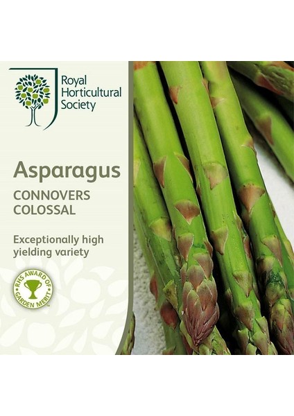 Kuşkonmaz Tohumu Connovers Colossal Asparagus Officinallis Ödüllü