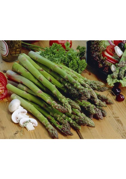 Kuşkonmaz Tohumu Connovers Colossal Asparagus Officinallis Ödüllü fiyatları