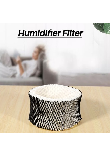 Holmes HWF62 Için Yedek Filtre, Nemlendirici Filtresi A, Holmes Modelleri HM1701, HM1761, HM1300 ve HM1100 Için (Yurt Dışından)