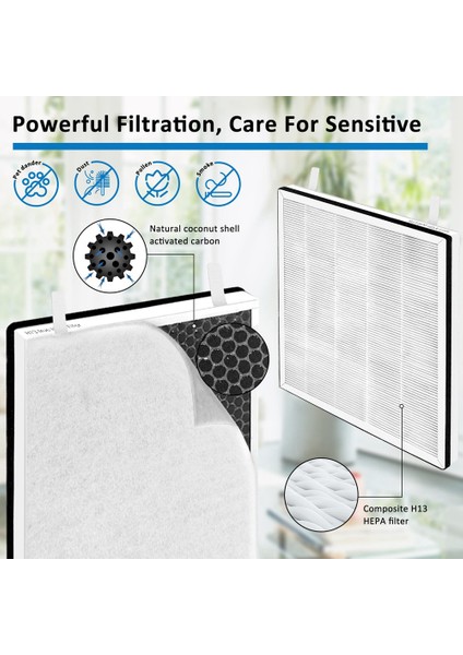 Adet Levoit Vital 100 Hava Temizleme Aksesuarları VITAL100-RF Yedek Gerçek Hepa Yüksek Verimli Aktif Filtre (Yurt Dışından)
