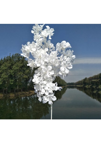 Rüzgaryapay Çiçekçilik 95 cm Japon Kirazı Çiçeği fiyatları