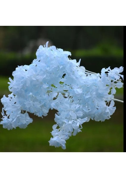 Rüzgaryapay Çiçekçilik 95 cm Japon Kirazı Çiçeği fiyatları