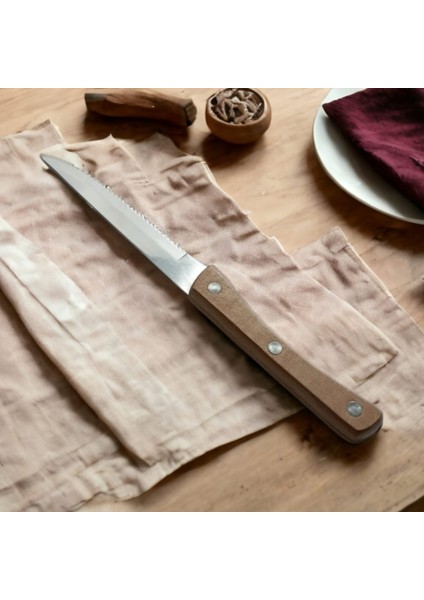 Kıtchen Tools Steak Et Bıçağı 21CM fiyatları