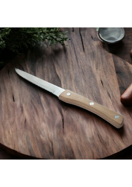 Kıtchen Tools Steak Et Bıçağı 21CM modelleri