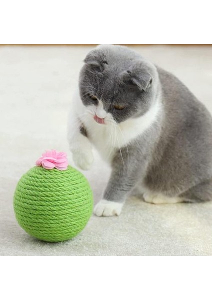 Three Beans Sisal Kaktüs Kedi Kıyma Topu Oyuncak Pet Kedi Scratcher Kitten Scratch Ball Interaktif Oyuncaklar Kedi Malzemeleri | Mobilya ve Amp;çizikler (Yurt Dışından)