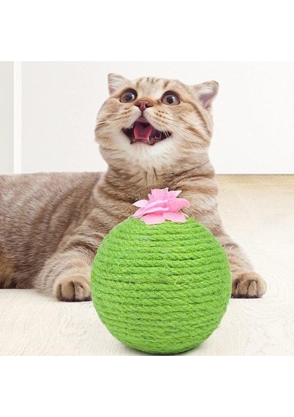 Three Beans Sisal Kaktüs Kedi Kıyma Topu Oyuncak Pet Kedi Scratcher Kitten Scratch Ball Interaktif Oyuncaklar Kedi Malzemeleri | Mobilya ve Amp;çizikler (Yurt Dışından)