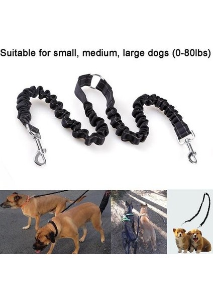 Bungee Çift Köpek Çoğaltıcı Kurşun, Hiçbir Arapsaçı Iki 2 Köpek Tasma ve Splitter Yürüyüş Yavru Küçük Orta Büyük Köpek (Siyah) (Yurt Dışından)