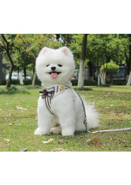 Kedi Çekiş Halat Yaka Köpek Etiketi Tasma Koşum Göğüs Kayışı Küçük ve Orta Boyutlu Köpek Pet Malzemeleri Beagle | Tasmalar (Yurt Dışından) modelleri