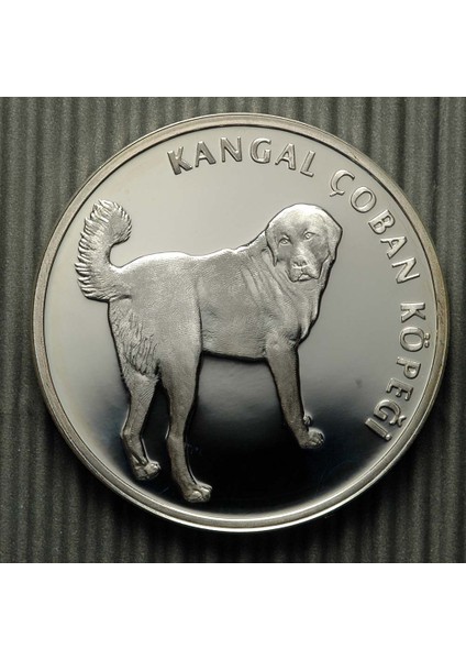 2005 Yılı Sivas Kangal Köpeği Darphane Hatıra Gümüş Parası Sertifikalı