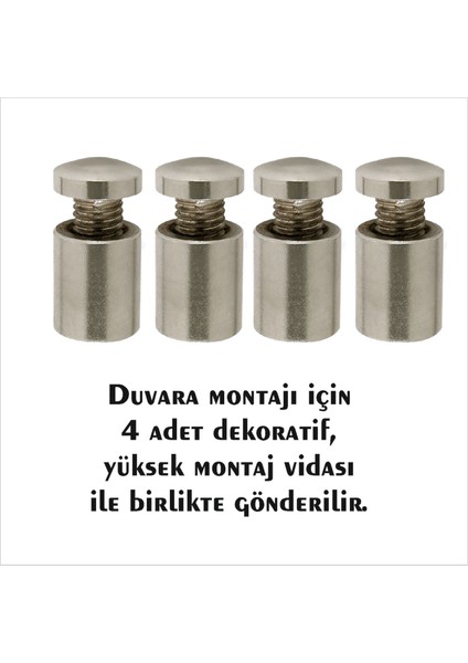Atatürk Portresi