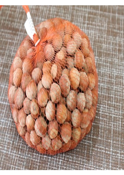 Natural Bazaar Kabuklu Fındık 1 Kg