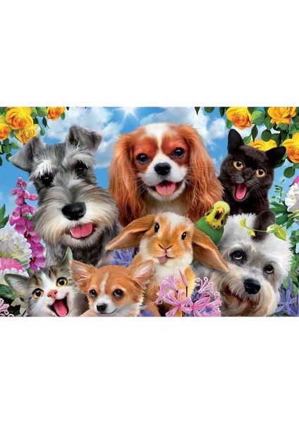 200 Selfıe De Mascotas Fsc(R)