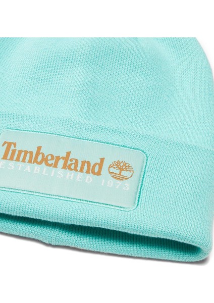 Established 1973 Beanie