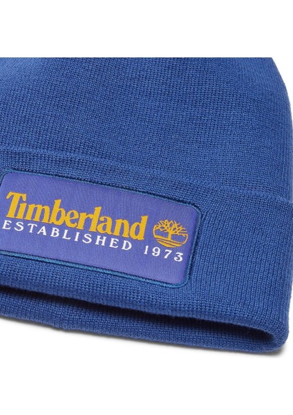 Established 1973 Beanie