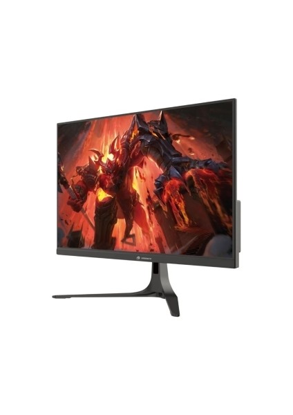 Gamebooster 27" GB-2717FF 0.5ms 165Hz Freesync/ G-Sync Fhd IPS Gaming Monitör