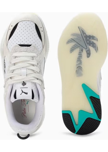 Rs x Palm Tree