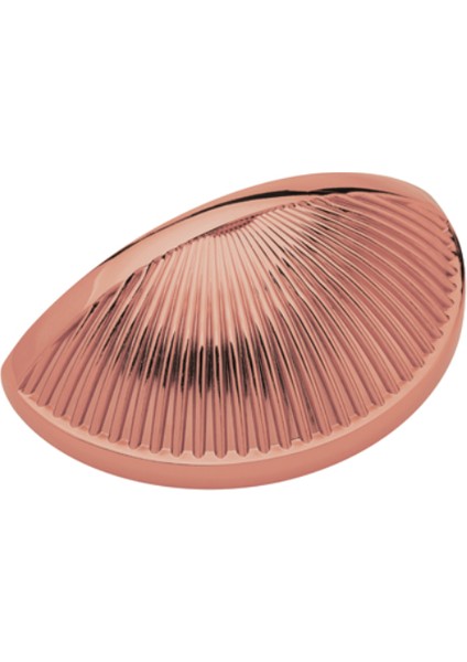 Gain Kabuk Kulp Rose Parlak Renkli 64MM 4'lü Paket